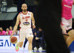 mega_scderbi_021