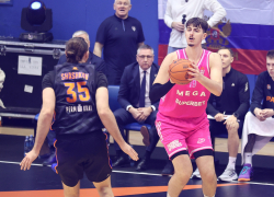mega_parma_039
