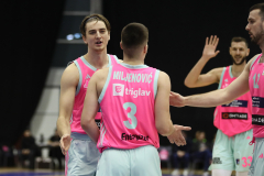 14. kolo ABA lige: Mega MIS - Cedevita Olimpija