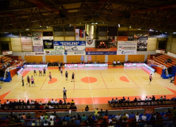mega-leks-vojvodina-08