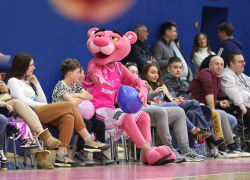 mega_revijalna_25_256