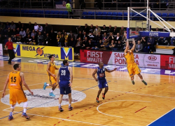 mega-vizura-cibona-07